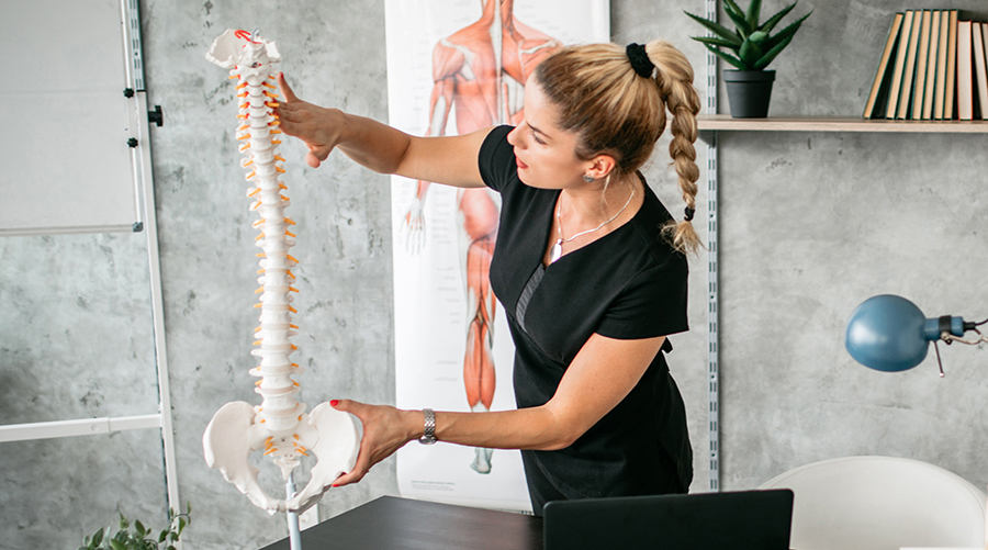 woman studying spine