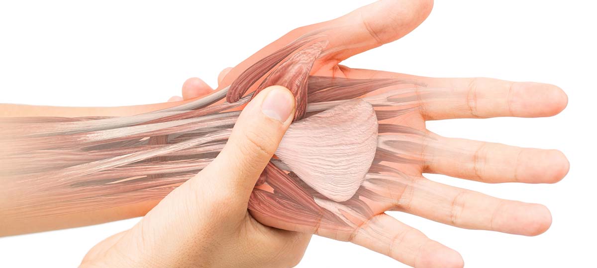 Anatomy of hand with another hand massaging